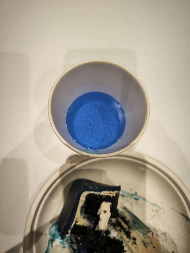 A kiálítás története – 30.