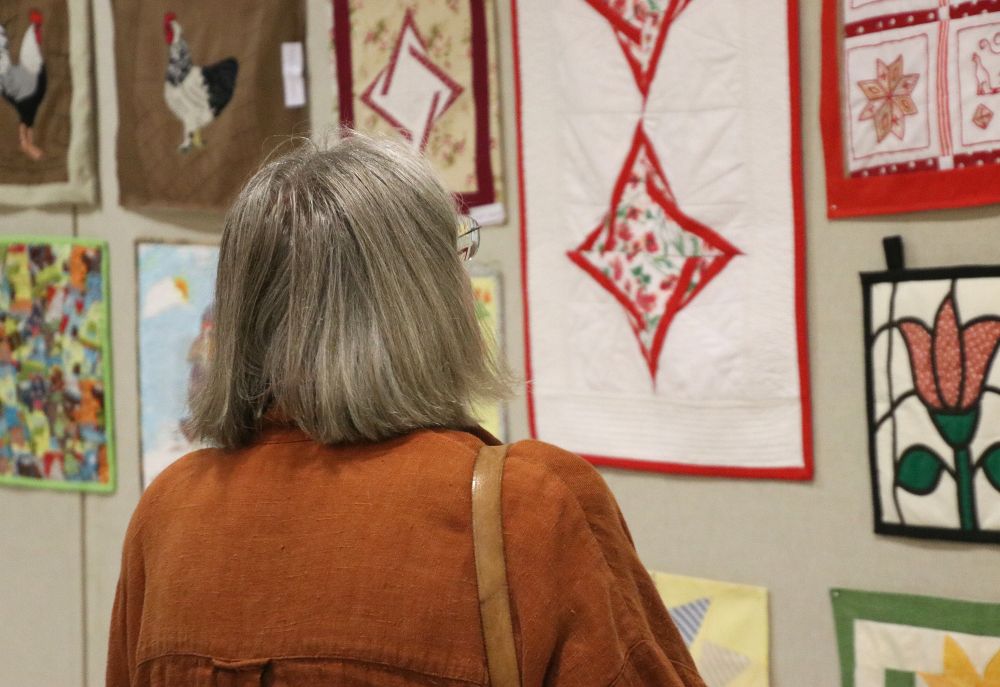 Foltos Kékmadár – 35