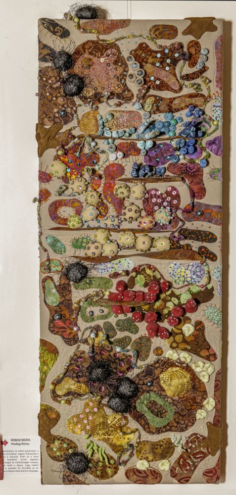 Tol-Ig II – Roboz Beáta – Finding Nemo