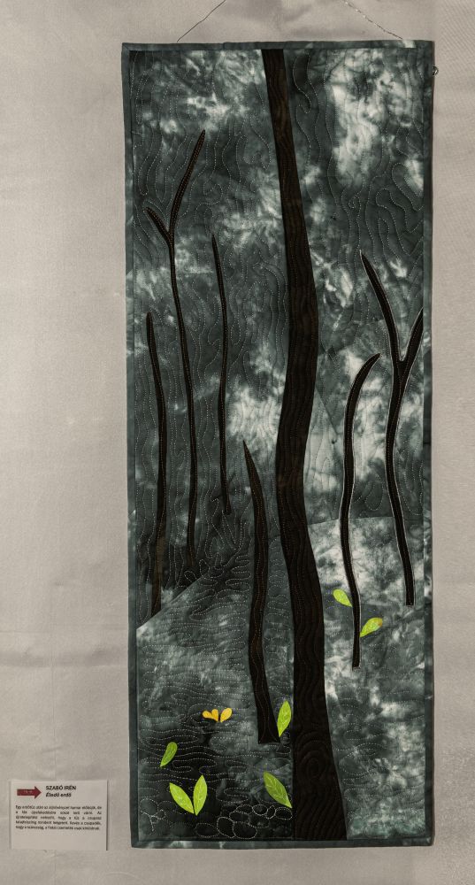 Tol-Ig II – Szabó Irén – Éledő erdő